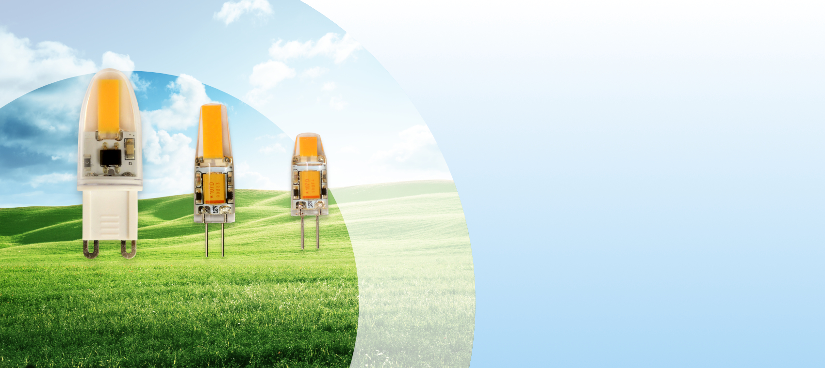 雷盟光電股份有限公司